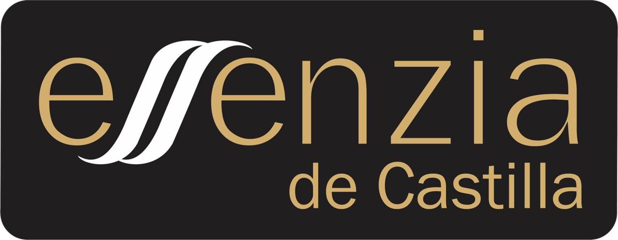 Aparthotel Essenzia De Castilla Aranda de Duero Kültér fotó